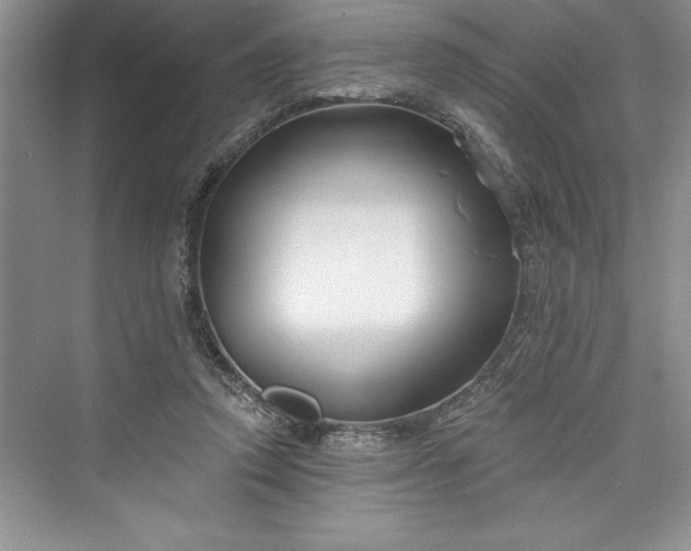 X0000073420354200608111357