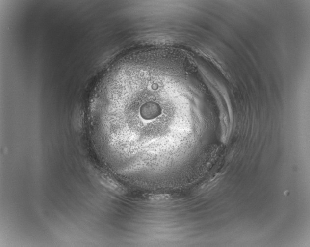 X0000073420355200608111357