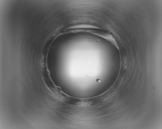 X0000073420356200608111357