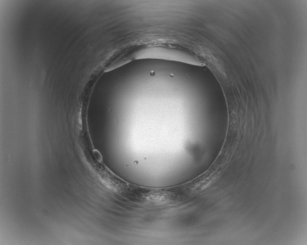 X0000073420358200608111357