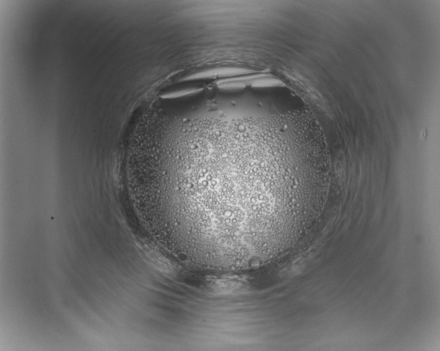 X0000073420359200608111357