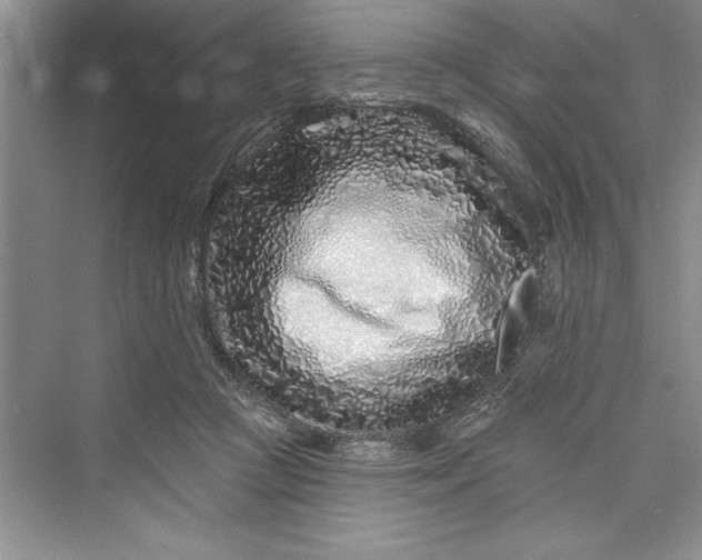 X0000073420361200608111357