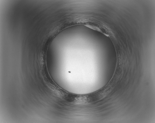 X0000073420362200608111357