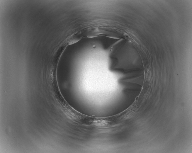 X0000073420363200608111357