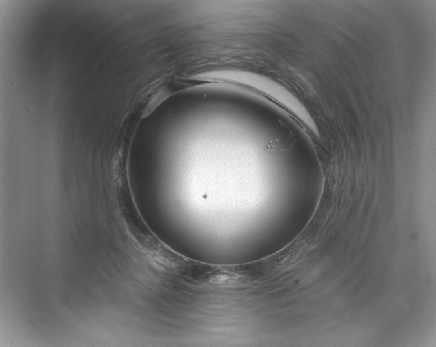 X0000073420364200608111357