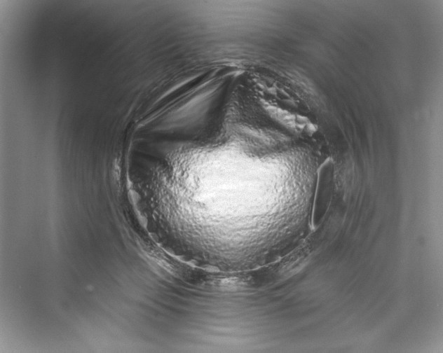 X0000073420365200608111357