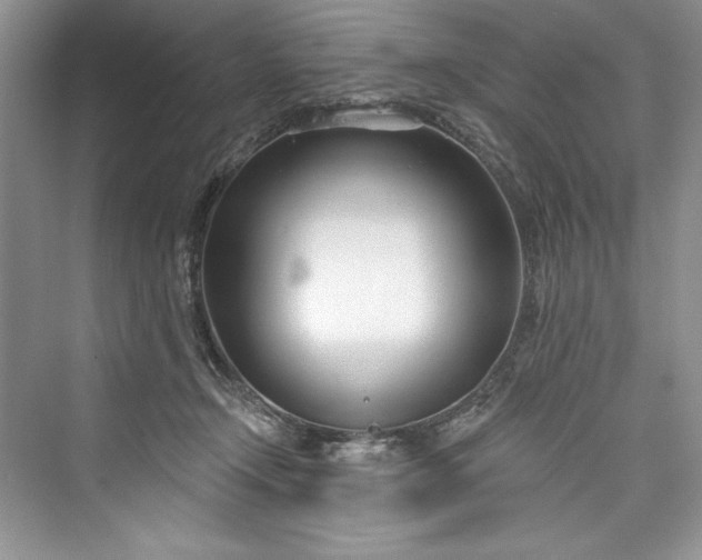 X0000073420366200608111357