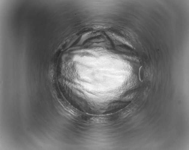 X0000073420367200608111357