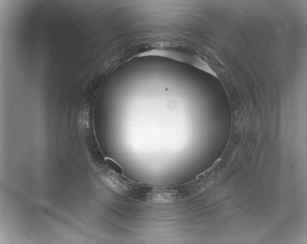 X0000073420368200608111357