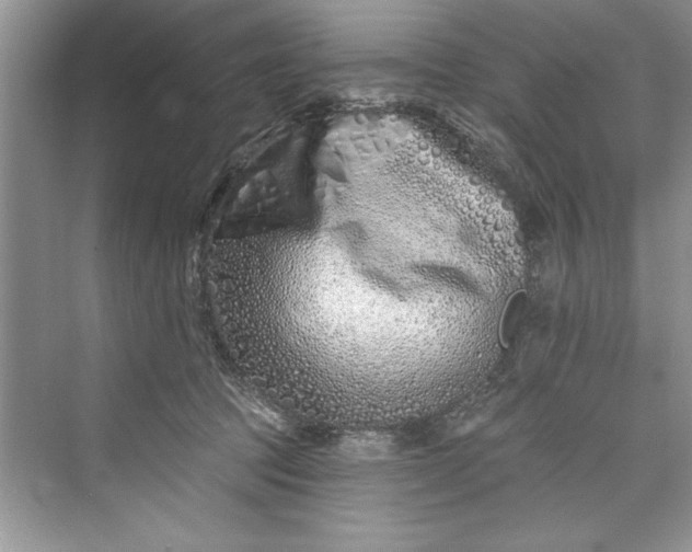 X0000073420369200608111357