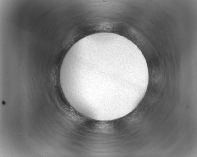 X0000073420370200608111357