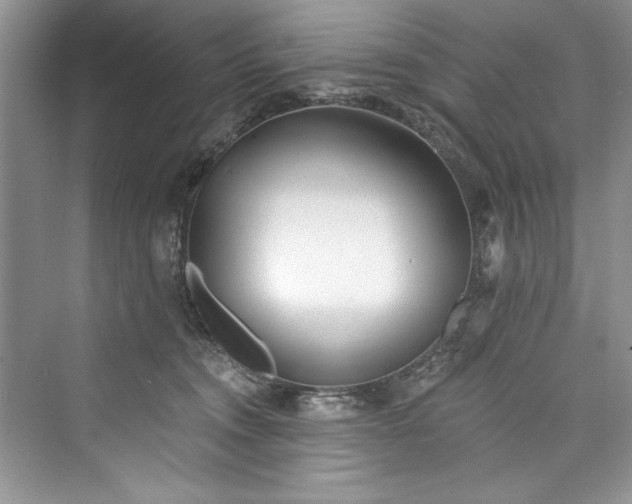 X0000073420372200608111357