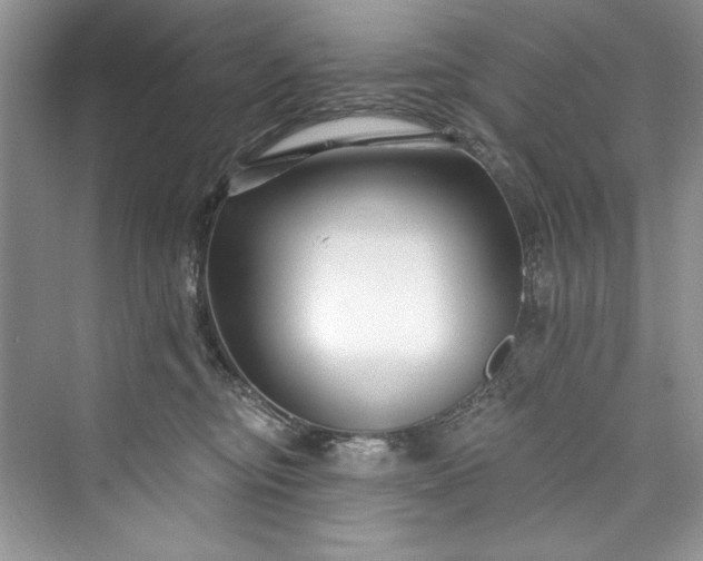 X0000073420374200608111357