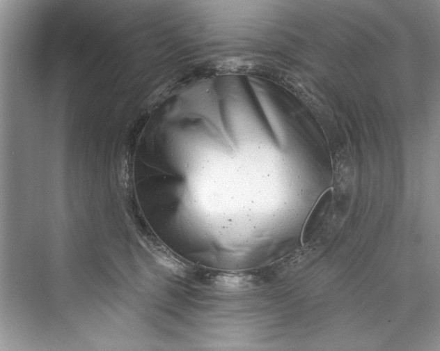 X0000073420375200608111357