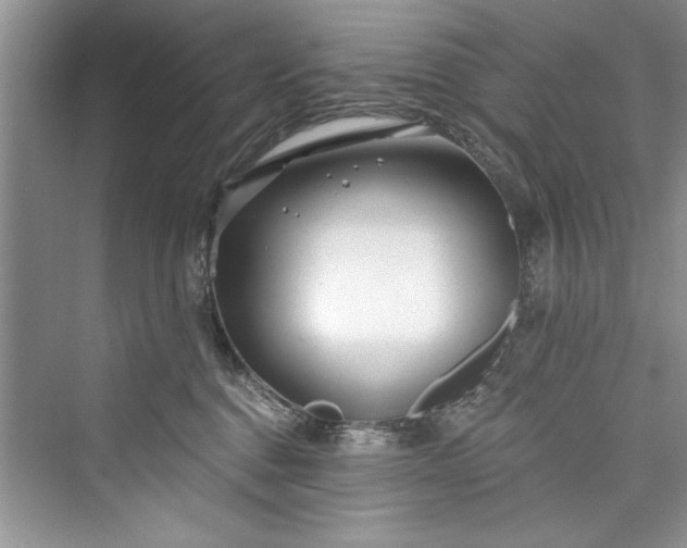 X0000073420376200608111357