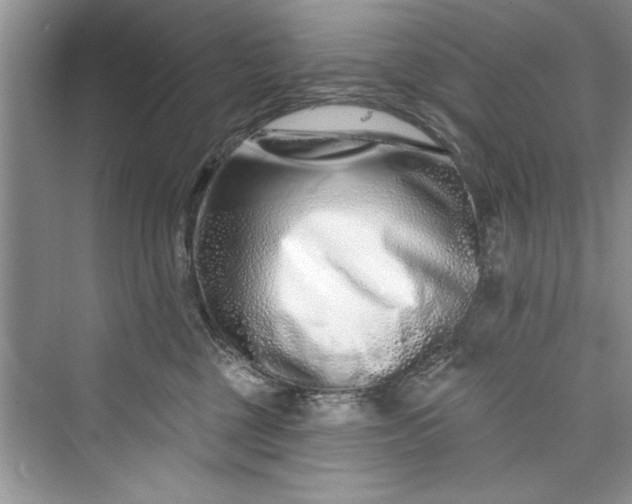 X0000073420377200608111357