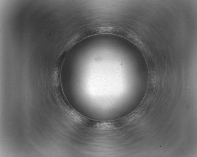 X0000073420378200608111357