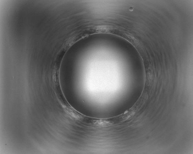 X0000073420379200608111357