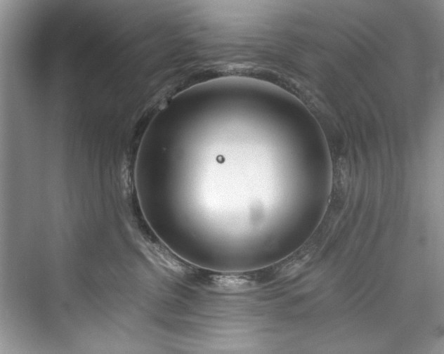 X0000073420380200608111357