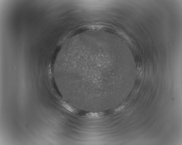 X0000073420381200608111357