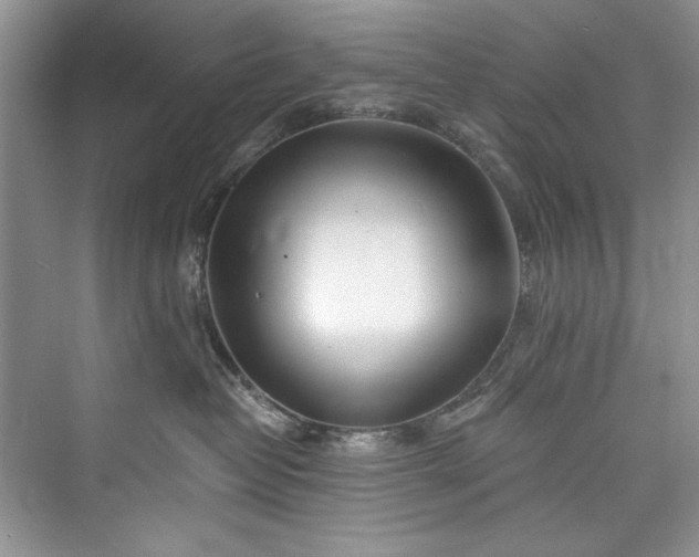 X0000073420382200608111357