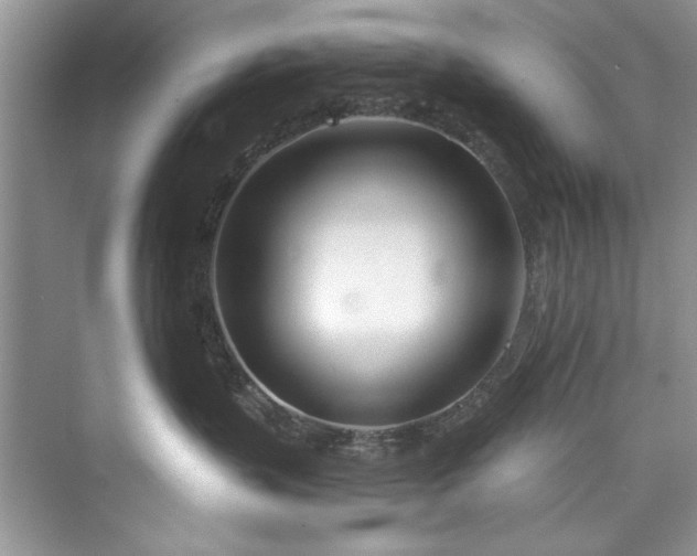 X0000073420383200608111357