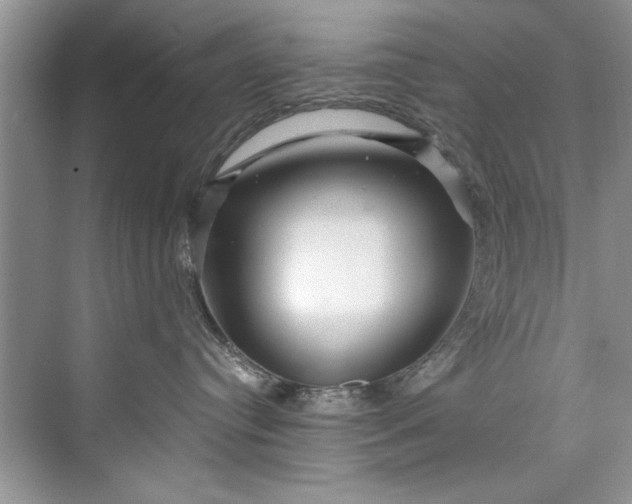 X0000073420384200608111357