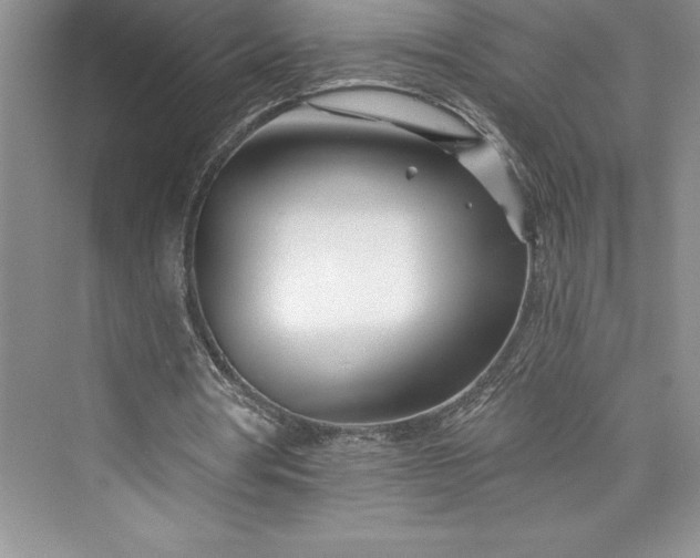 X0000073420386200608111356