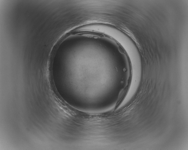 X0000073420387200608111356