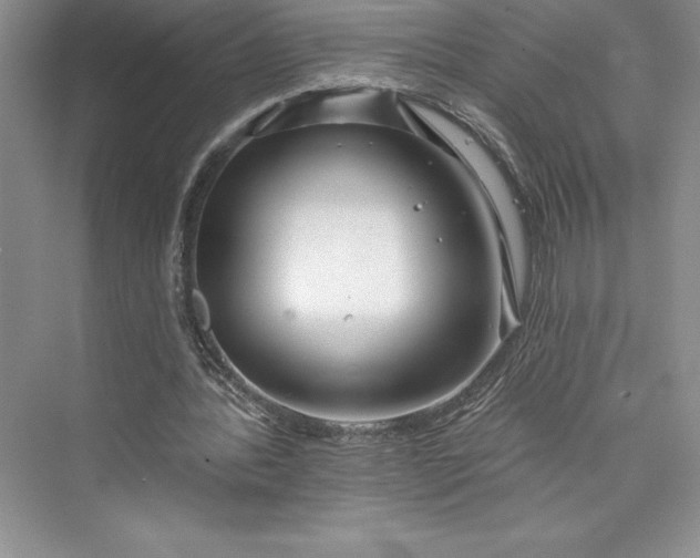 X0000073420388200608111356