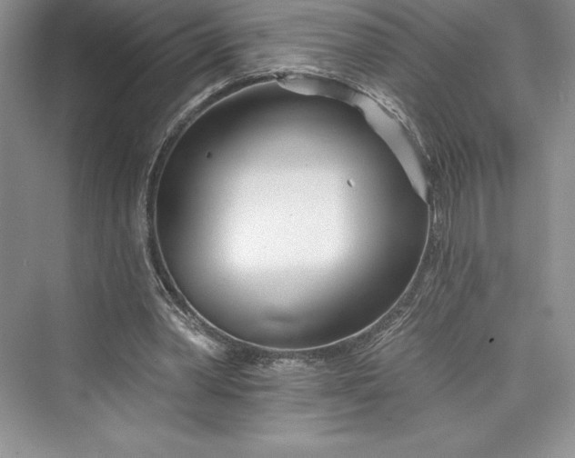 X0000073420390200608111356