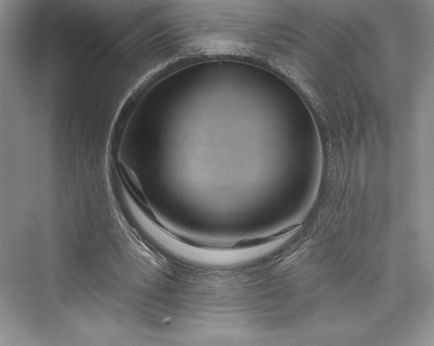 X0000073420391200608111356