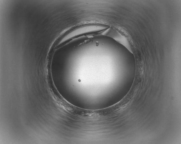 X0000073420395200608111356