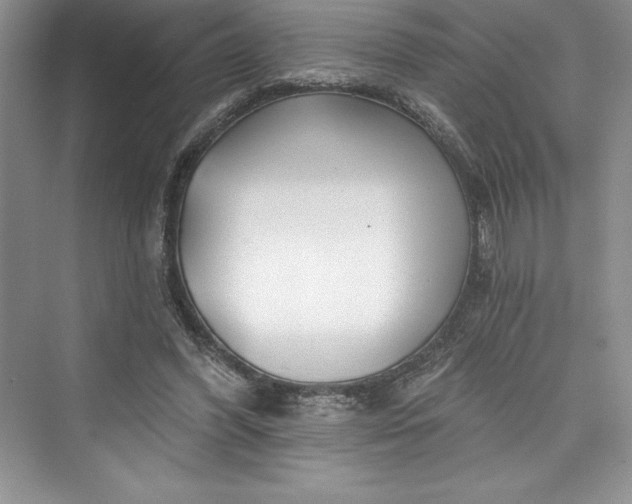 X0000073420396200608111356