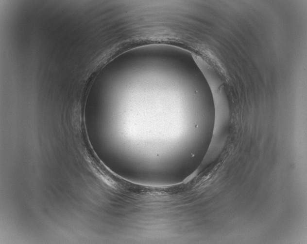 X0000073420397200608111356