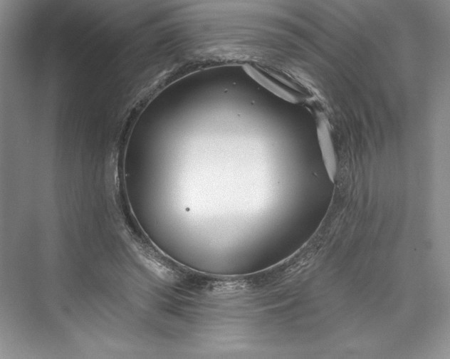 X0000073420398200608111356