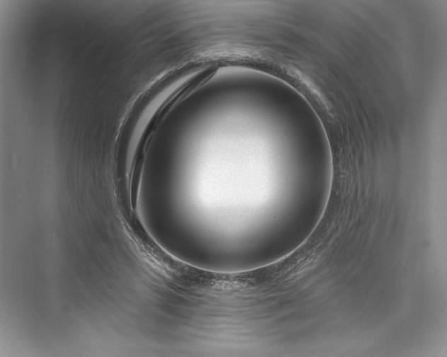 X0000073420399200608111356