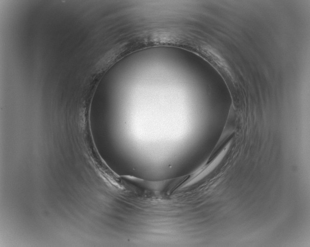 X0000073420401200608111356