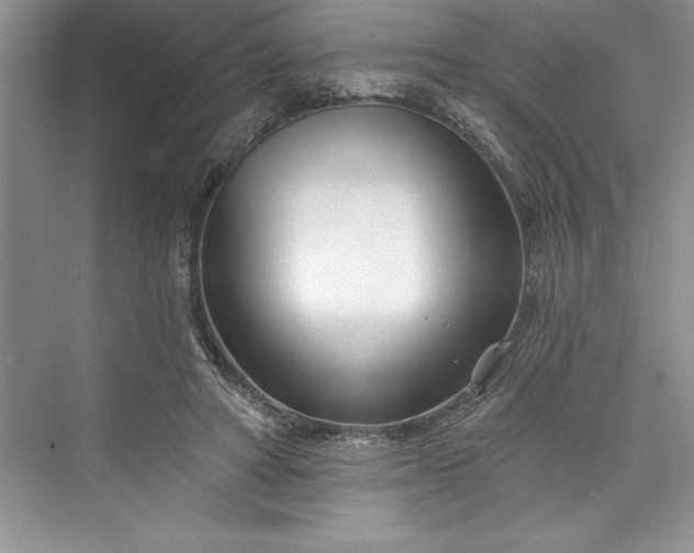 X0000073420402200608111356