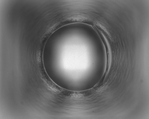 X0000073420403200608111356