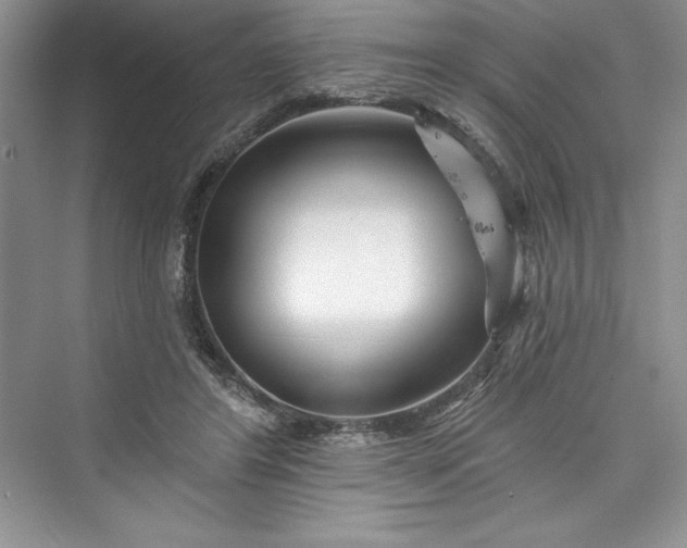 X0000073420404200608111356