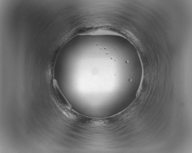 X0000073420405200608111356