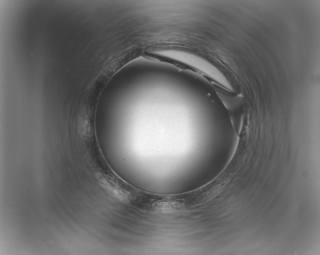 X0000073420408200608111356