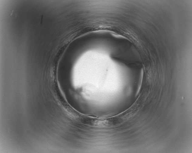 X0000073420410200608111356