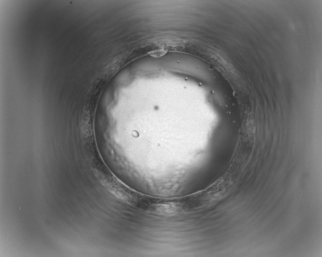 X0000073420411200608111356