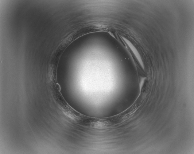 X0000073420412200608111356