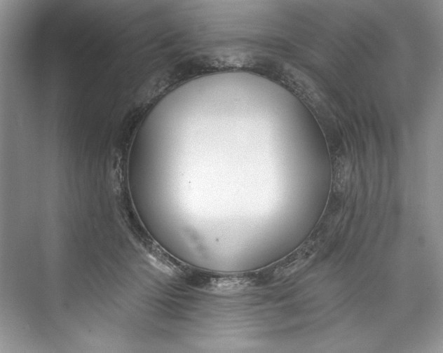 X0000073420414200608111356