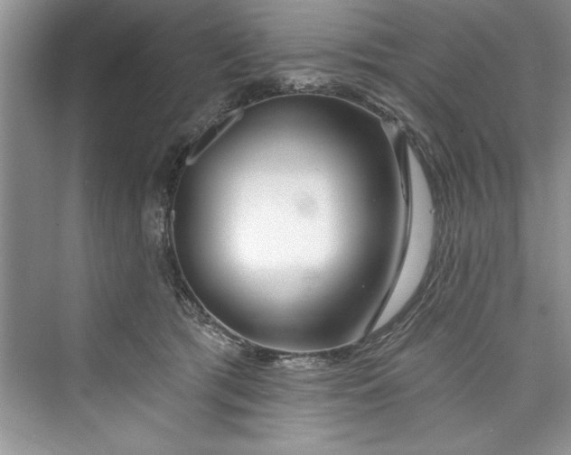 X0000073420417200608111356