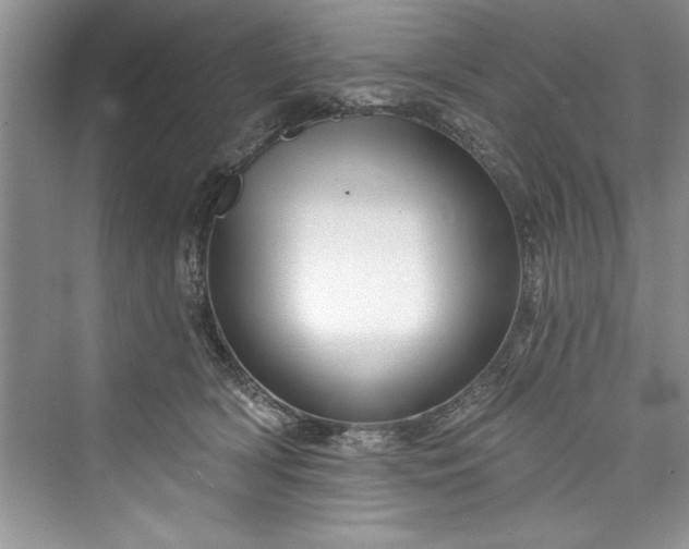 X0000073420418200608111356