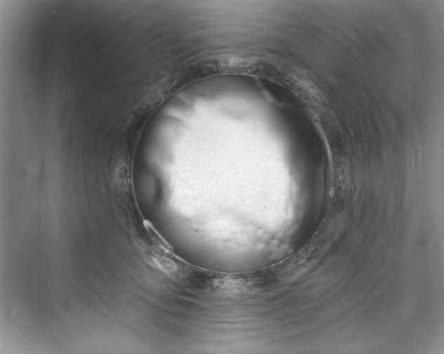 X0000073420419200608111356